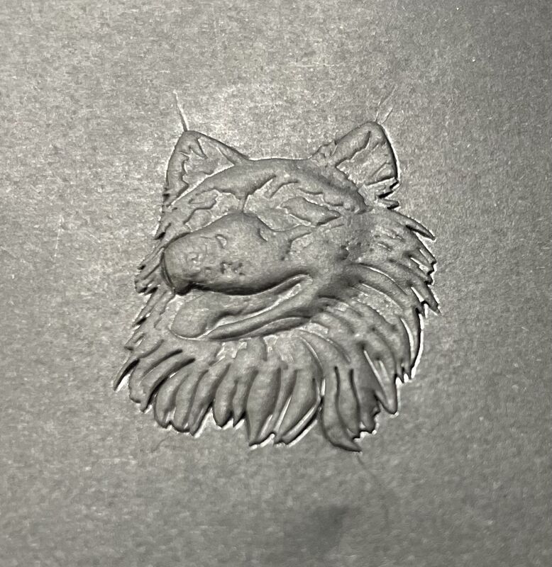 Máquina automática de estampado de papel caliente para papel de embalaje de gama completa, estampado de colores